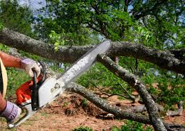 Best Lot and Land Clearing  in Wyandanch, NY