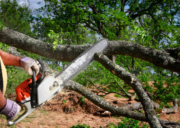 Best Lawn Dethatching  in Wyandanch, NY